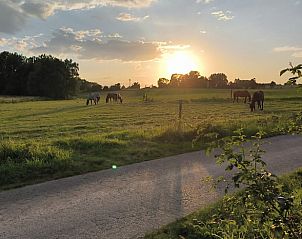 Guest house 0741901 - Holiday property Hainaut - Vakantiehuis in Thoricourt