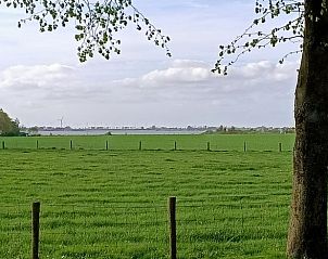 Prachtig uitzicht op groene velden vanuit Huisje in Hemelum vakantiehuis in Hemelum, dicht bij de Fluessen.