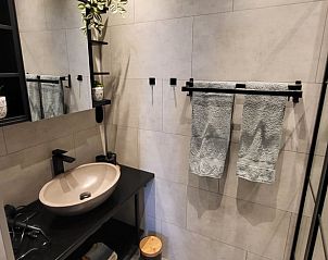 Stijlvolle badkamer in Huisje in Hemelum vakantiehuis in Hemelum, met moderne wastafel en elegante afwerking.