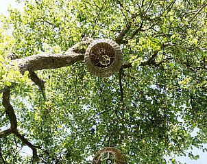 Natuurlijke omgeving rond Vakantiehuis in Hemelum, met groene bomen in de Friese meren.