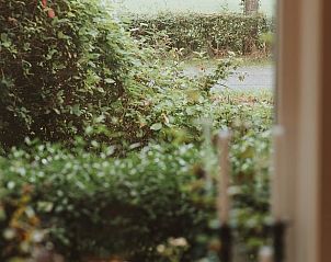 Uitzicht vanuit Vakantiehuis in Hemelum, geniet van het groen van de Friese meren.