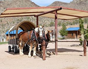 Unterkunft 0825901 • Ferienhaus Zuidwesten • Grand Canyon Western Ranch 