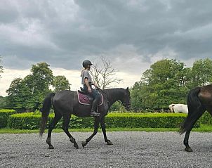 Verblijf 083006 - Vakantiewoning Ardennen (Namen) - Vakantiehuis in Ohey
