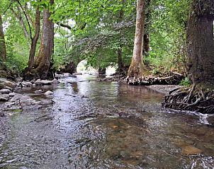Rustig beekje omgeven door bomen bij Le Moulin Cognaut vakantiehuis, Vresse-sur-Semois, in de Ardennen.
