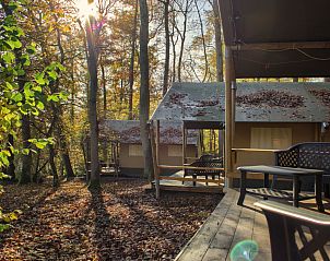 Unterkunft 0838602 • Zelthaus Namur • Safaritent (BOS) 