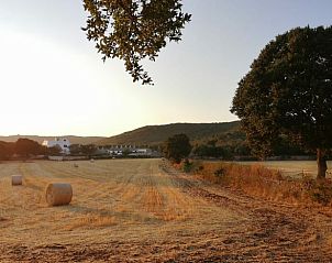 Guest house 0850901 - Holiday property Apulia / Puglia - Huisje in Crispiano