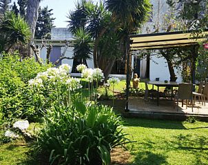 Guest house 08511603 - Holiday property Apulia / Puglia - Vakantiehuis in Lizzanello LE, Italia