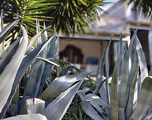 Guest house 08511605 - Holiday property Apulia / Puglia - Vakantiehuisje in Lizzanello LE, Italia