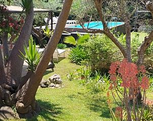 Guest house 08511605 - Holiday property Apulia / Puglia - Vakantiehuisje in Lizzanello LE, Italia