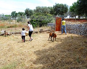 Unterkunft 0851210 - Appartement Apulien / Puglia - Appartement ARANCIONE