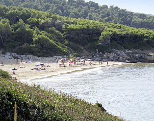 Guest house 0852214 - Holiday property Apulia / Puglia - Vakantiehuis Villaggio San Pablo