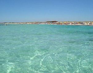 Guest house 0854713 - Apartment Apulia / Puglia - Appartement in Torre Mozza mit Terrasse