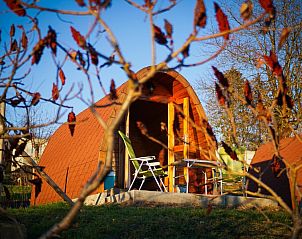 Verken de serene omgeving van Vakantiehuisjes Pommier Rustique in Durnal, een uniek verblijf in de Ardennen, Belgi.
