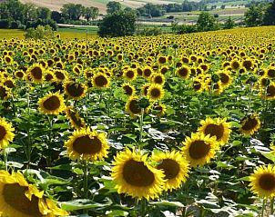 Unterkunft 0862201 - Ferienhaus Toskana / Elba - Villa Daniela