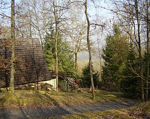 Chalet Dion in Beauraing, Ardennen, gelegen in een bosrijke omgeving, ideaal voor natuurliefhebbers.