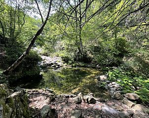 Verblijf 09025901 - Appartement Ligurië - Appartement Panoramica sul Terrazzo