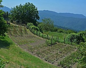 Unterkunft 09028509 - Ferienhaus Ligurien - Vakantiehuis in Castiglione Chiavarese