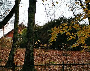 Guest house 09029206 - Holiday property Liguria - Vakantiehuisje in Borzonasca