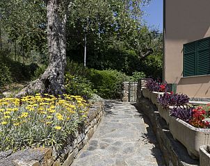 Guest house 09031812 - Apartment Liguria - Appartement Verde Adagio