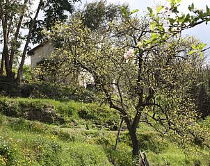 Unterkunft 0905202 - Ferienhaus Ligurien - Huisje in Castel Vittorio