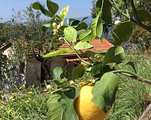 Unterkunft 0905202 - Ferienhaus Ligurien - Huisje in Castel Vittorio