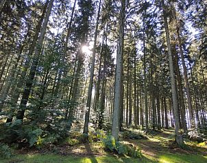 Guest house 090705 - Holiday property Luxembourg - Vakantiehuis La-Roche-en-Ardenne 6 pers. met jacuzzi