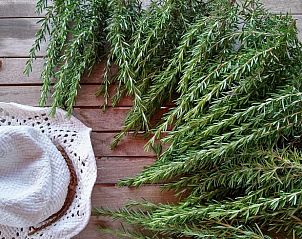 Unterkunft 09116304 - Ferienhaus Kampanien / Neapel - Vakantiehuis in caiazzo