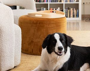 Guest house 0913929 - Holiday property Luxembourg - La Futaie Durbuy