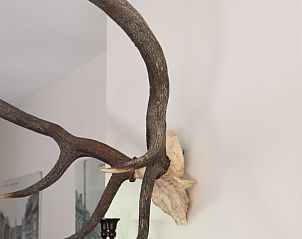 Guest house 0913929 - Holiday property Luxembourg - La Futaie Durbuy