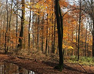 Guest house 0916703 - Holiday property Luxembourg - 2 pers Petit Gite Ardennen, huisdieren welkom