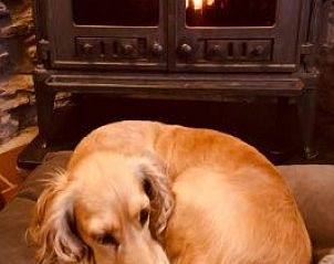 Guest house 0916703 - Holiday property Luxembourg - 2 pers Petit Gite Ardennen, huisdieren welkom