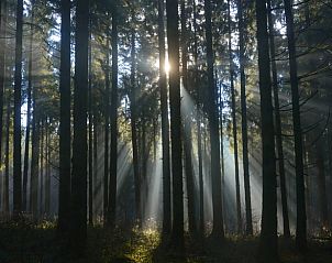 Guest house 091807 - Holiday property Luxembourg - Huisje in Herbeumont