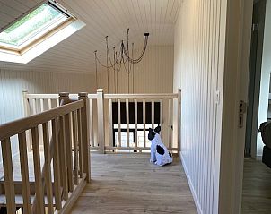 Guest house 0921105 - Holiday property Luxembourg - Dogo In Paradise II