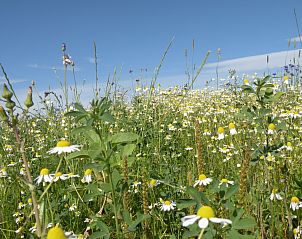 Guest house 0923201 - Holiday property Luxembourg - Le Tilleul