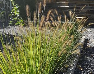 Unterkunft 0923506 - Ferienhaus Luxemburg - Vakantiehuis in Rochehaut