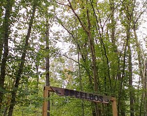 Unterkunft 0926002 - Ferienhaus Luxemburg - Vakantiehuisje in Barvaux-sur-Ourthe