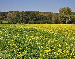 Unterkunft 0926016 - Ferienhaus Luxemburg - Vakantiehuisje in Barvaux-sur-Ourthe