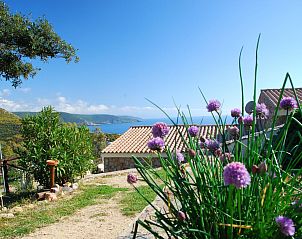 Guest house 0932016 - Holiday property Sardinia - Vakantiehuis Haus in Torre Dei Corsari mit Privatparkplatz