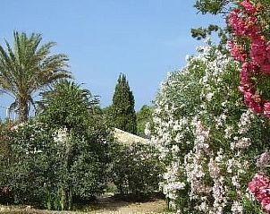 Unterkunft 0940833 - Ferienhaus Sizilien - Vakantiehuis La Perla 5