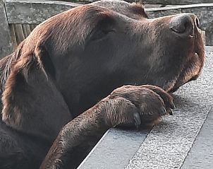 Guest house 094101 - Holiday property Luxembourg - Gite Ardennais 