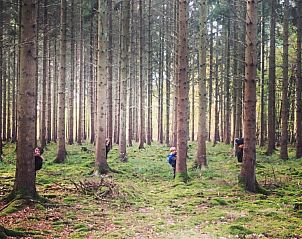 Guest house 0943801 - Holiday property Luxembourg - Vakantiehuis 'Villa 24' Durbuy