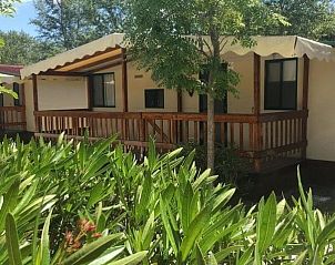 Enjoy peace and quiet on the veranda of Toscachalets, a charming glamping lodge in Viareggio, Tuscany.