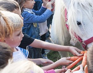 Guest house 095101105 - Holiday property Tuscany / Elba - Agriturismo Le Gorette