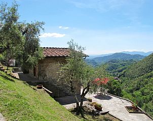 Guest house 09510503 • Holiday property Tuscany / Elba • Vakantiehuis Castagneto 