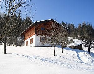 Unterkunft 095107303 - Ferienhaus Salzburgerland - Pehambauer XL