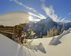 Guest house 095108155 - Apartment Tyrol - Waidachhaus