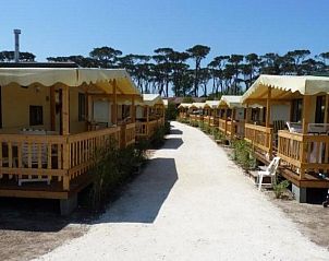 Stacaravan - Mobilehome aan Zee - Viareggio in Toscane biedt een charmante veranda met uitzicht op de serene omgeving.