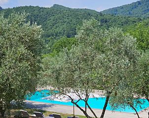 Guest house 0952032 - Apartment Tuscany / Elba - Podere le Muricce - Olivo