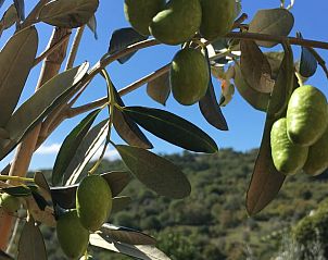 Guest house 0953309 - Holiday property Tuscany / Elba - Huisje in Roccalbegna