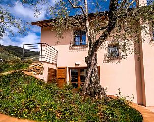 Unterkunft 0954109 - Ferienhaus Toskana / Elba - Villa Verde Toscane